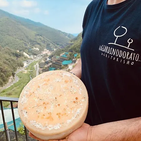 Il Giardino Dorato Çiftlik konaklama Maiori
