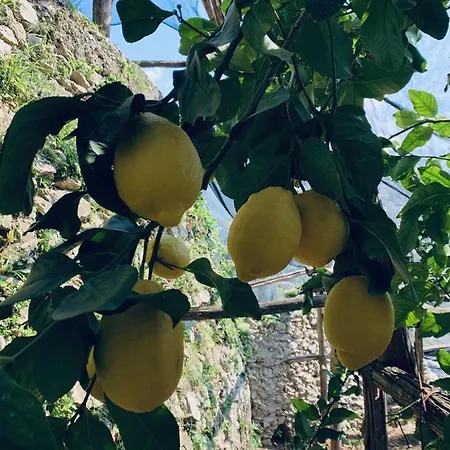 Il Giardino Dorato * Maiori