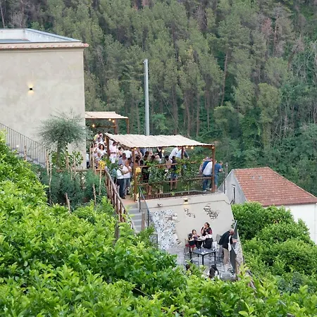 Il Giardino Dorato *
