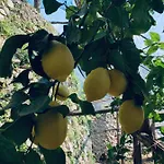 Il Giardino Dorato * Maiori